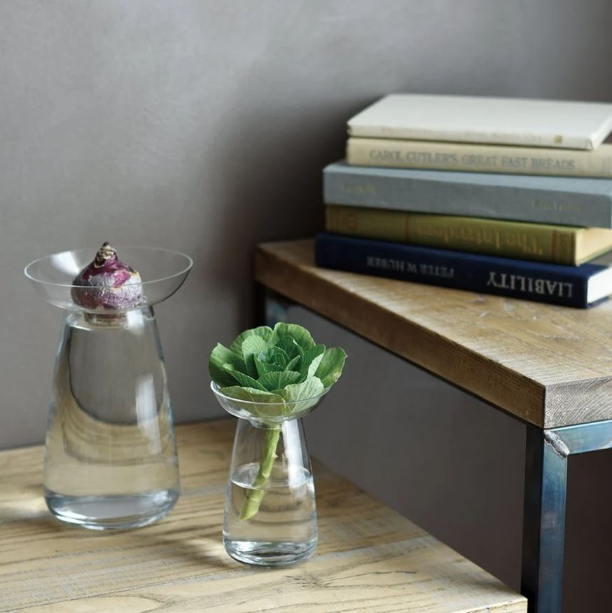 Kinto | Petit vase d'aqua culture - Transparent
