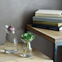 Kinto | Petit vase d'aqua culture - Transparent