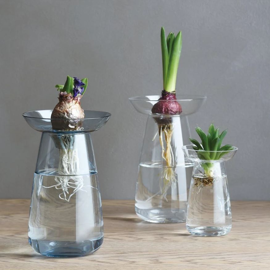 Kinto | Petit vase d'aqua culture - Bleu