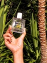 Maison Matine | Eau de parfum - Into the Wild