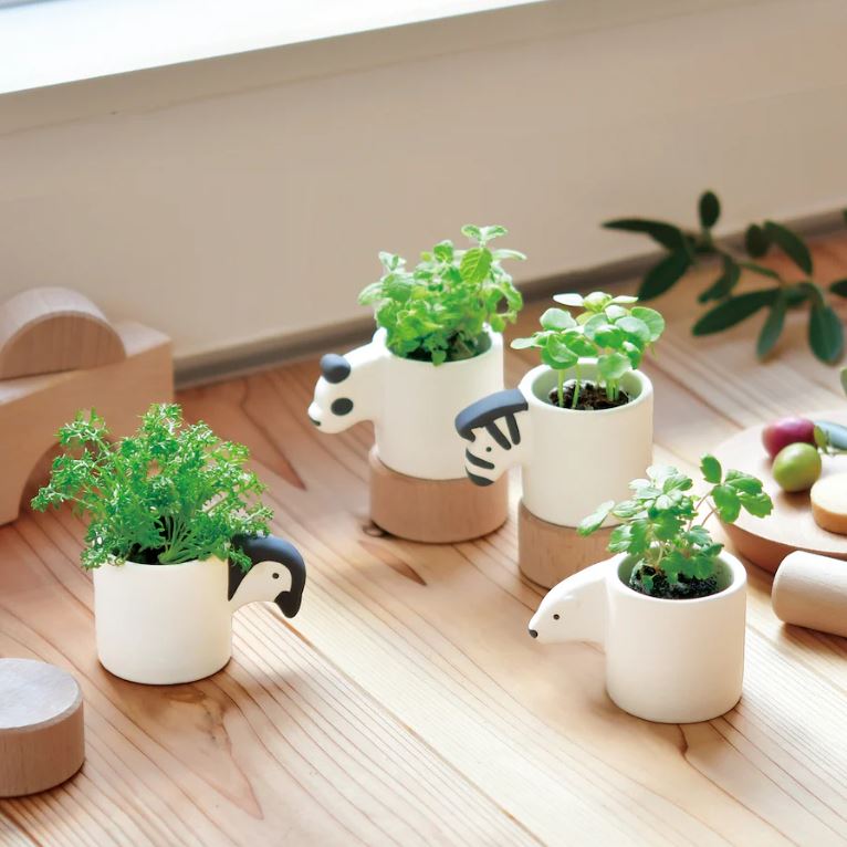 NOTED | Monokuro Animals - Ours Blanc