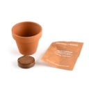 Radis et Capucine |  Mini kit jardinage fraise