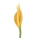 2686-1_grande.webp