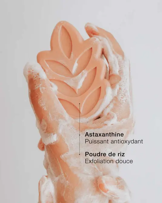 03_exfoliant-corps_actifs.webp
