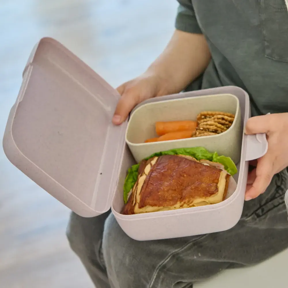 lunchbox-mit-trennschale-candy-l-trucks-747-Atmo-2.webp