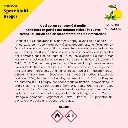 Spray_Multi.webp