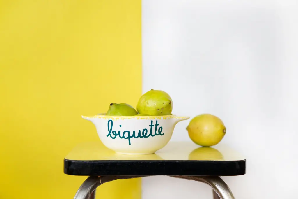 BIQUETTE-SITE.webp