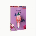 Paradise Bird, Rani