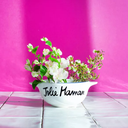 [PDP-3760140191101] PIED DE POULE | Bol Breton Revisité -  JOLIE MAMAN