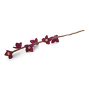 [GRY-15133] GRY &amp; SIF | Fleur en laine bouillie - Cerise Flowers on Stalk