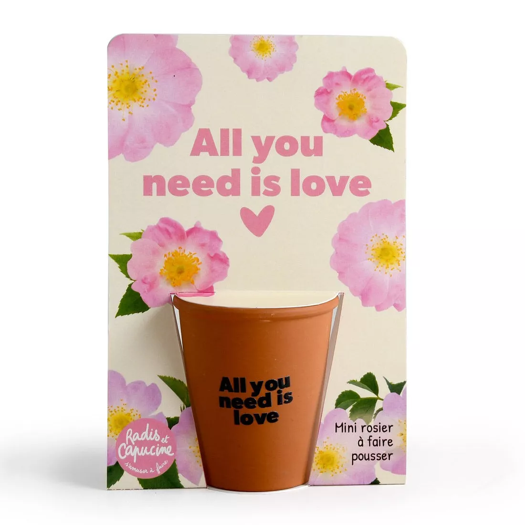 Radis et capucine || Kit jardinage "All you need is love" - Rosier