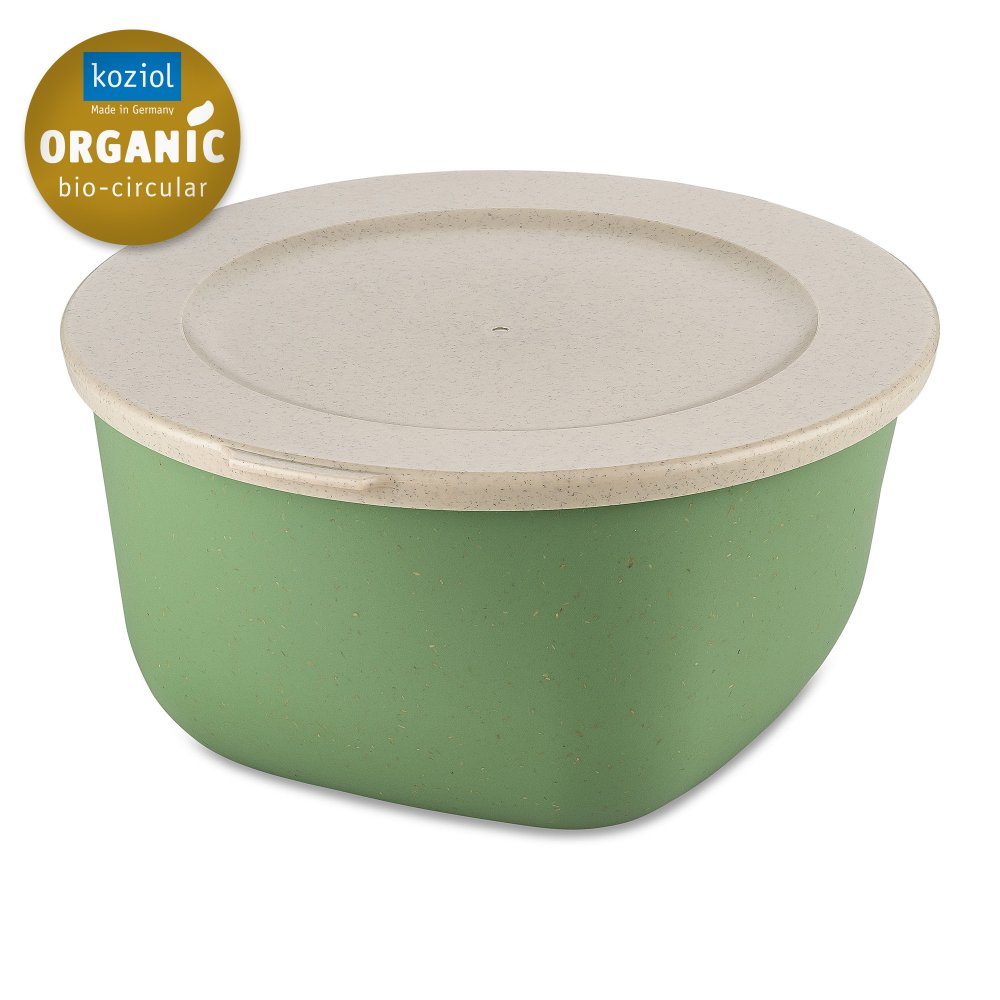 [KOZ-7871703] Koziol | Boîte de conservation 2l - Nature leaf green