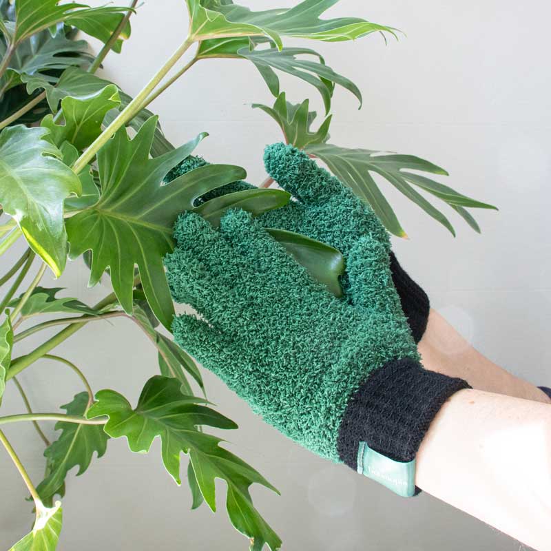 [BTA-gloves] Botanopia | Gants dépoussiérants pour plantes