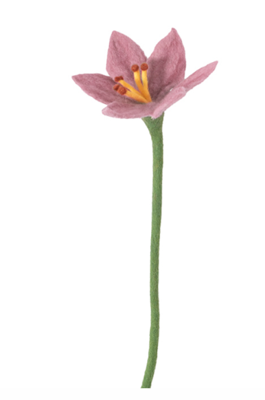 [AVE-2690] Aveva Design | Fleur en Laine éternelle - Lily - Pale Pink  