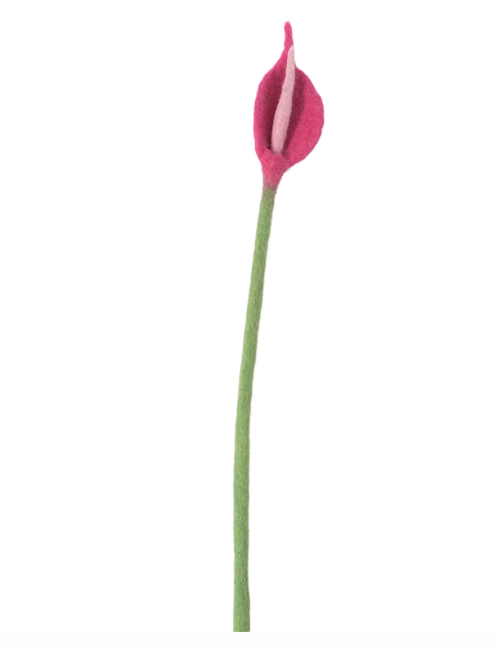 [AVE-2688] Aveva Design | Fleur en Laine éternelle - Flamingo - Fuchsia